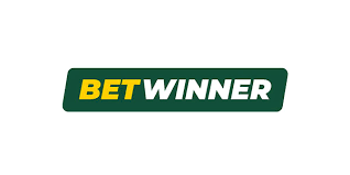 BetWinner Online Bookmaker Experience the Thrill of Betting