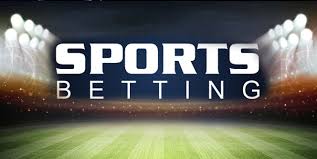 Betwinner The Premier Online Betting Platform