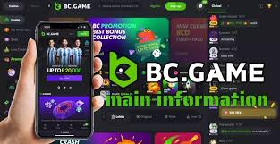 Maximizing Your Earnings BC.Game Bonuses and Promo Codes