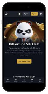 Experience the Thrill of Bitfortune Live Casino for Crypto Enthusiasts