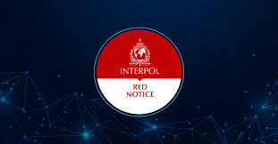 Understanding Interpol Legal Help Your Guide to Navigating International Law 1329694863