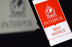 Understanding Interpol Legal Help Your Guide to Navigating International Law 1340487598