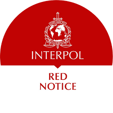 Understanding Interpol Red Notice Removal A Comprehensive Guide 1330522379